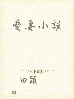 爱妻小说