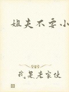 姐夫不要小说