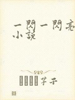 一闪一闪亮星星小说