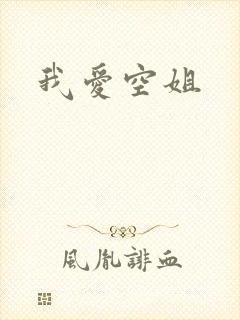 我爱空姐