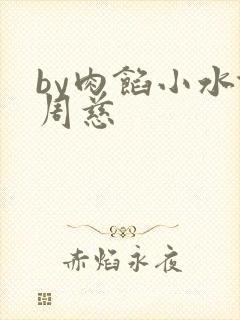 by肉馅小水饺周慈封面