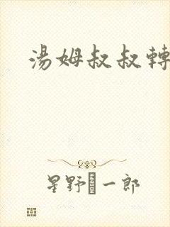 汤姆叔叔转接口