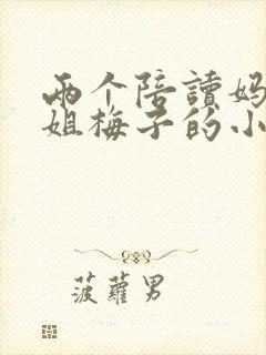 两个陪读妈妈赵姐梅子的小说