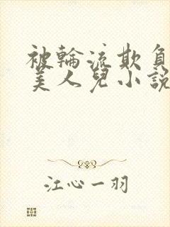 被轮流欺负的大美人儿小说封面