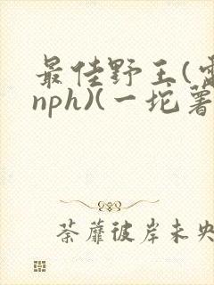 最佳野王(电竞nph)(一坨薯饼)_无拼音封面