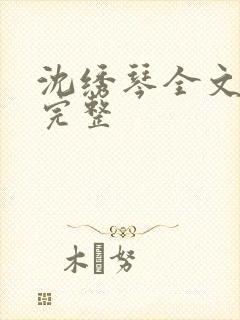 沈绣琴全文阅读完整