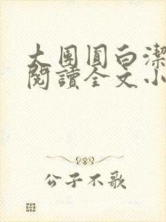 大团圆白洁免费阅读全文小说