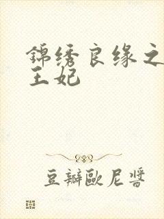 锦绣良缘之北地王妃封面