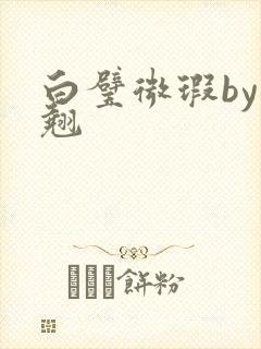 白璧微瑕by连翘封面