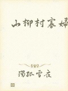 山柳村寡妇情史