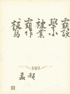 校霸被学霸压着写作业小说封面