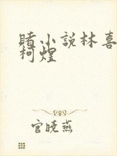 赌小说林喜朝和柯煜