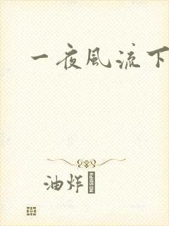 一夜风流下载