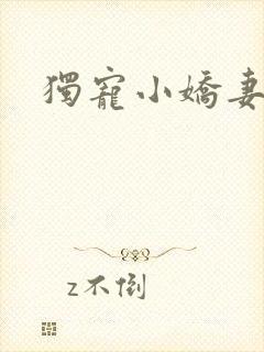 独宠小娇妻