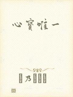 心宝唯一