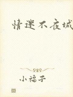 情迷不夜城