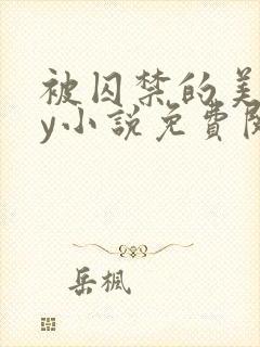 被囚禁的美人by小说免费阅读