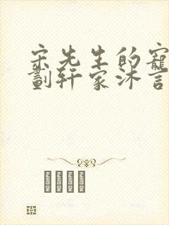 宋先生的宠妻计划轩家沐言