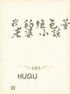 我的绝色董事长老婆 小说