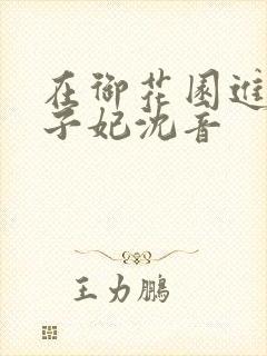 在御花园进入太子妃沈音