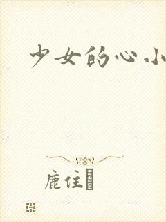 少女的心小说封面