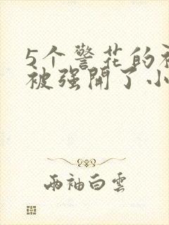5个警花的初苞被强开了小说