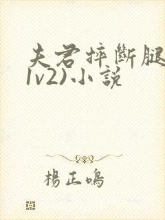 夫君摔断腿后(1v2)小说