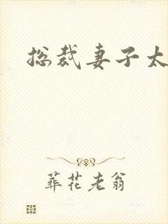 总裁妻子太诱人