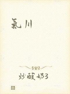 气川封面