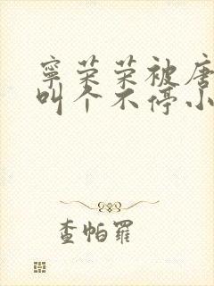 宁荣荣被唐三桶叫个不停小说