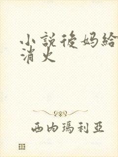 小说后妈给我消消火