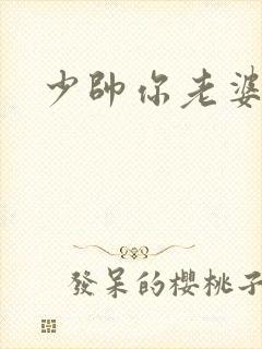 少帅你老婆封面