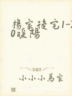 杨家后宅1-20暖阳