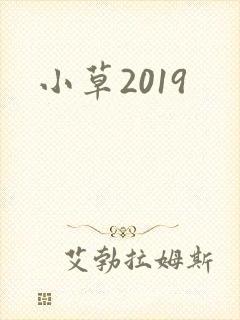 小草2019