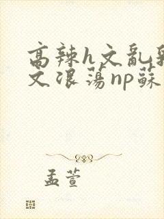 高辣h文乱乳h文浪荡np苏夏