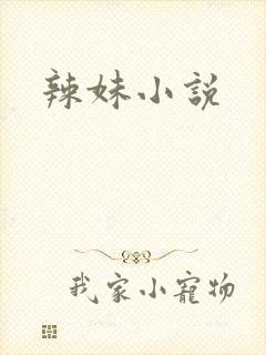 辣妹小说