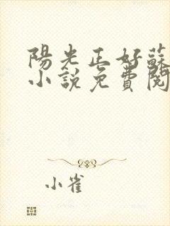 阳光正好苏玥玥小说免费阅读无弹窗