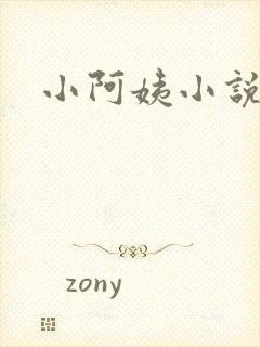 小阿姨小说