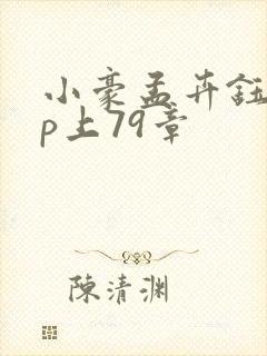 小豪孟卉钰慧三p上79章封面