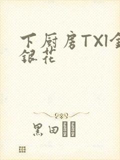 下厨房TXl金银花