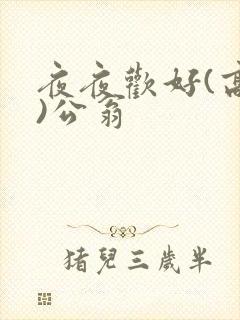 夜夜欢好(高h)公翁