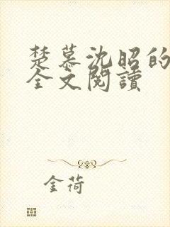 楚慕沈昭的小说全文阅读封面