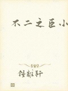 不二之臣小说