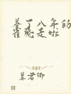 养了八年的金丝雀飞走啦