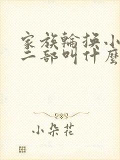 家族轮换小说第二部叫什么名字