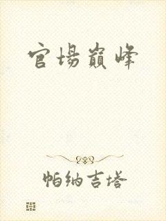 官场巅峰