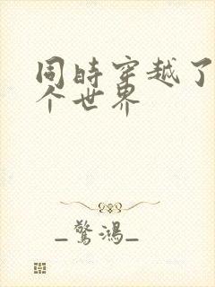 同时穿越了99个世界