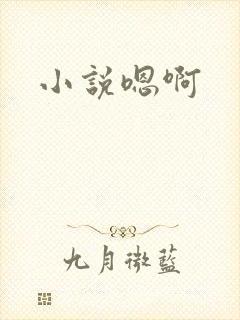 小说嗯啊