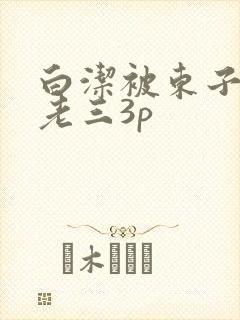 白洁被东子老二老三3p