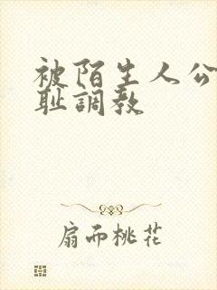 被陌生人公开羞耻调教封面